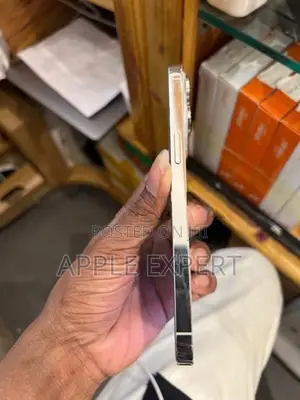 Apple iPhone 14 Pro Max (Used)