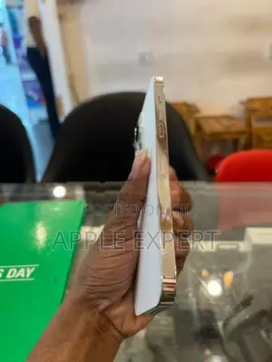 Apple iPhone 14 Pro Max (Used)