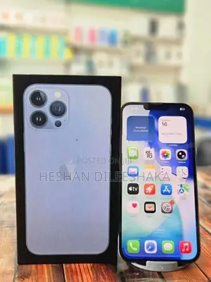 Apple iPhone 13 Pro Max 5G 256GB (Used)