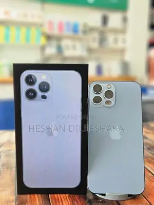 Apple iPhone 13 Pro Max 5G 256GB (Used)