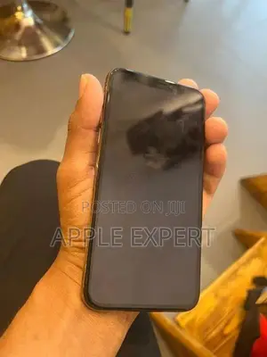 Apple iPhone XS (Used)