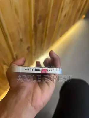 Apple iPhone 13 (Used)
