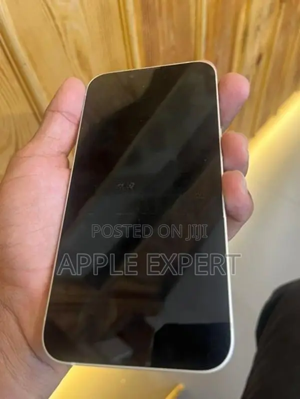 Apple iPhone 13 (Used)