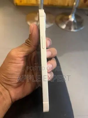 Apple iPhone 13 (Used)