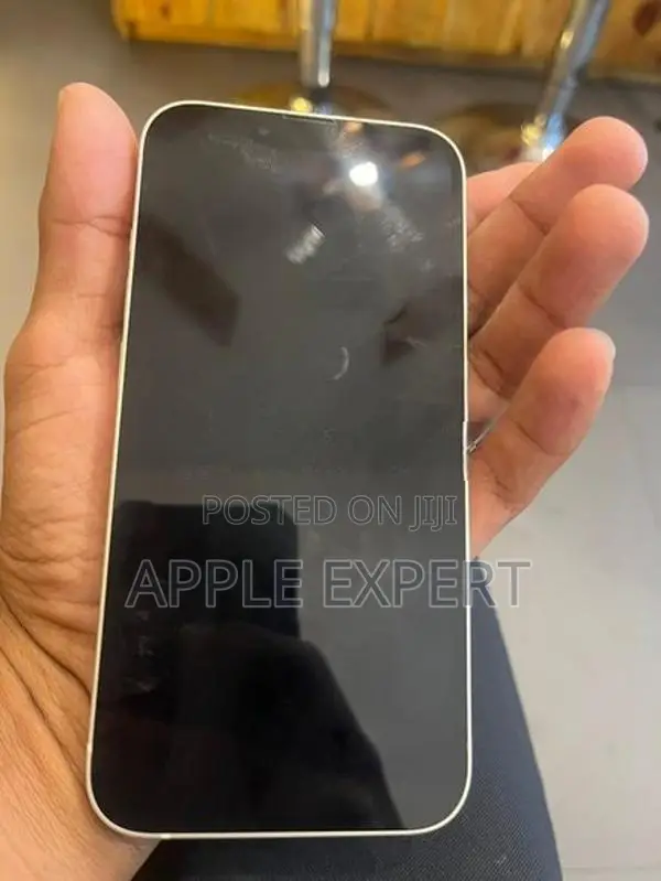 Apple iPhone 13 (Used)