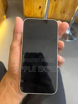 Apple iPhone 13 (Used)