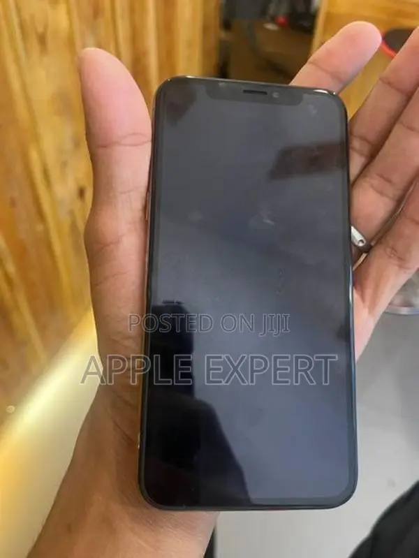 Apple iPhone XS (Used)