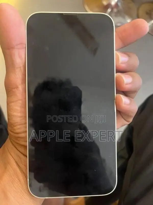 Apple iPhone 13 (Used)