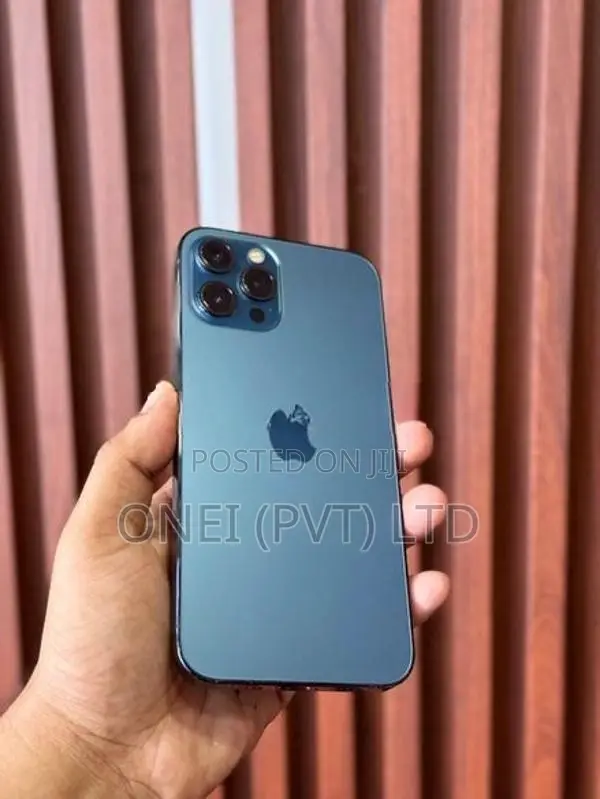 Apple iPhone 12 Pro Max 256GB (Used)
