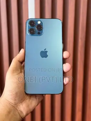 Apple iPhone 12 Pro Max 256GB (Used)