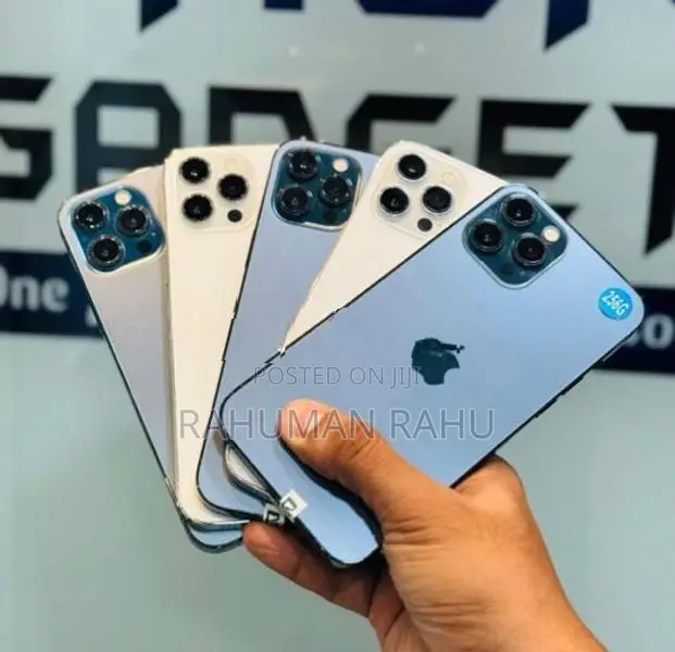 Apple iPhone 12 Pro Max 256GB (Used)