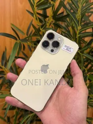 Apple iPhone 13 Pro 256GB (Used)