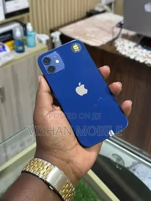 Apple iPhone 12 (Used)