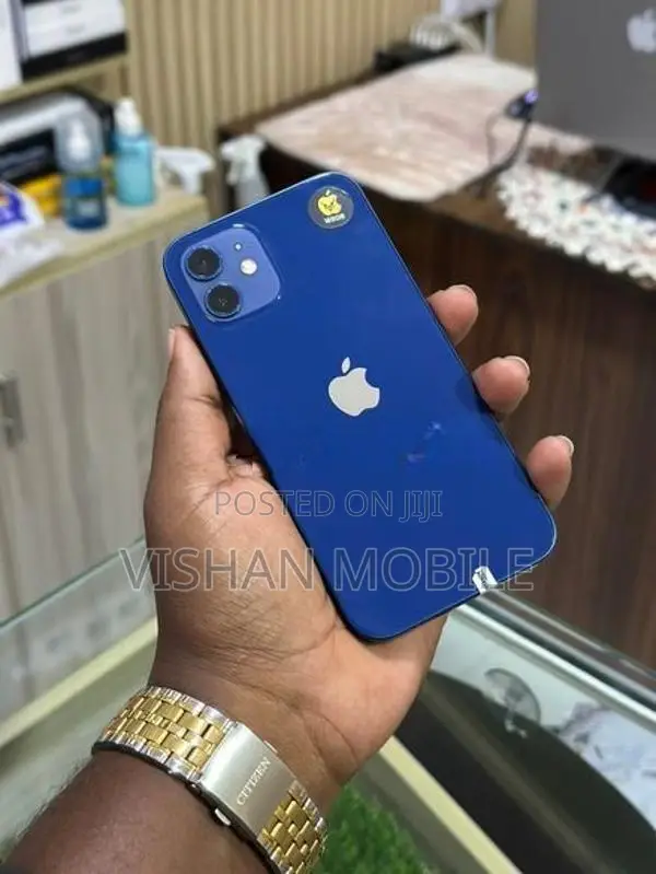 Apple iPhone 12 (Used)