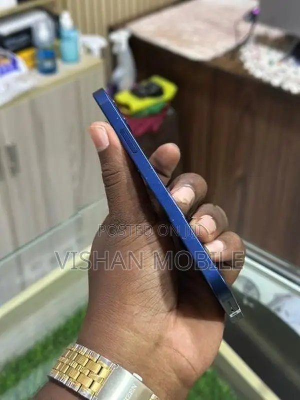 Apple iPhone 12 (Used)