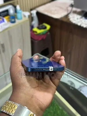 Apple iPhone 12 (Used)