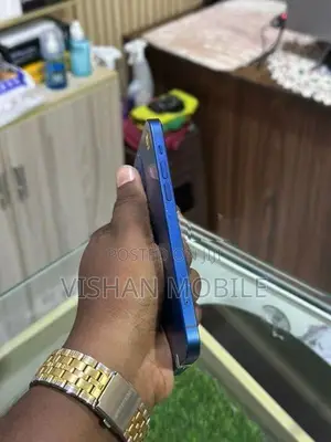 Apple iPhone 12 (Used)