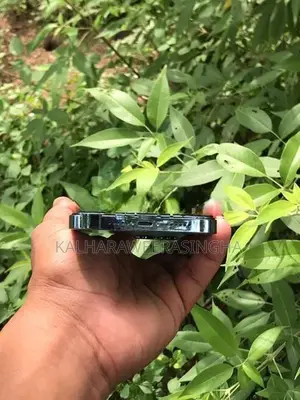 Apple iPhone 13 Pro Max (Used)