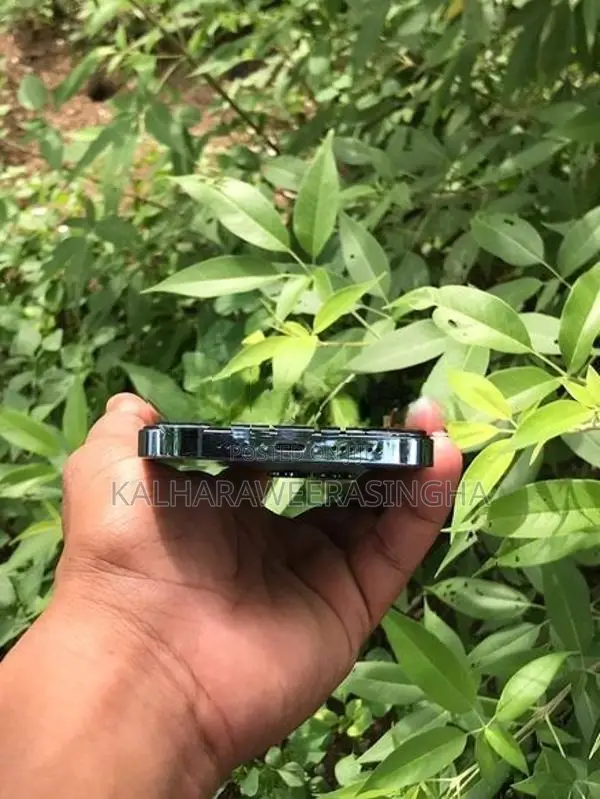 Apple iPhone 13 Pro Max (Used)