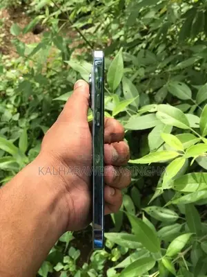 Apple iPhone 13 Pro Max (Used)
