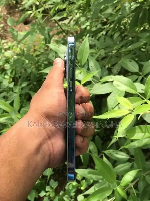 Apple iPhone 13 Pro Max (Used)