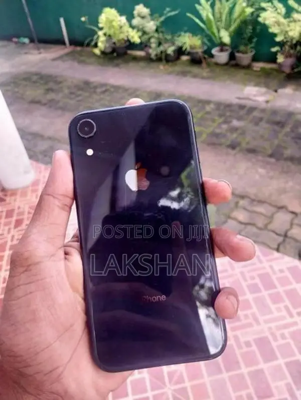 Apple iPhone XR (Used)
