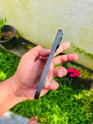 Apple iPhone 16 Pro 256GB (Used)