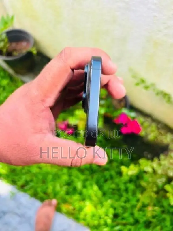 Apple iPhone 16 Pro 256GB (Used)