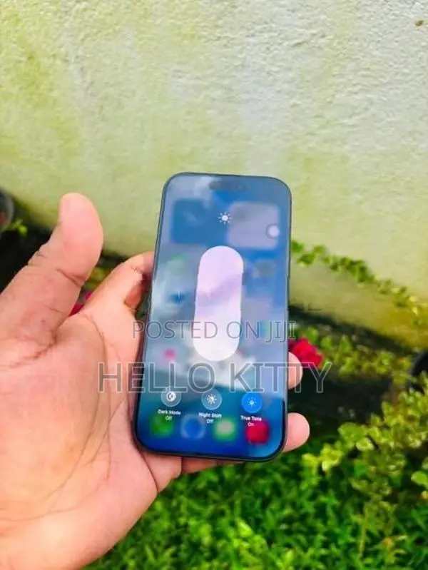 Apple iPhone 16 Pro 256GB (Used)