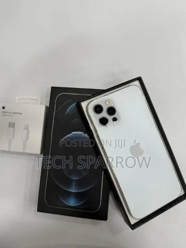 Apple iPhone 12 Pro 256GB (Used)