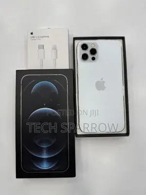 Apple iPhone 12 Pro 256GB (Used)