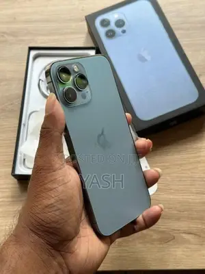 Apple iPhone 13 Pro Max 256Gb (Used)