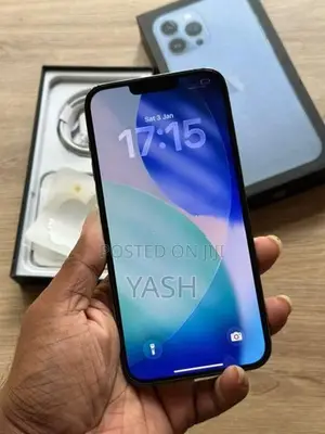 Apple iPhone 13 Pro Max 256Gb (Used)