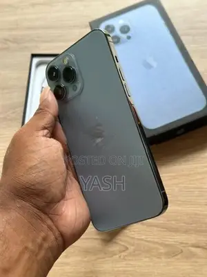 Apple iPhone 13 Pro Max 256Gb (Used)