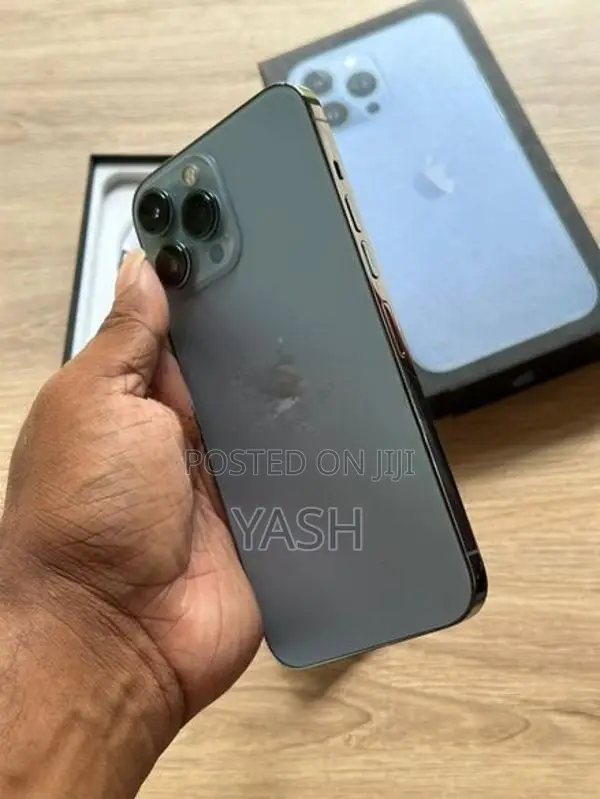 Apple iPhone 13 Pro Max 256Gb (Used)