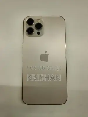Apple iPhone 12 Pro Max (Used)