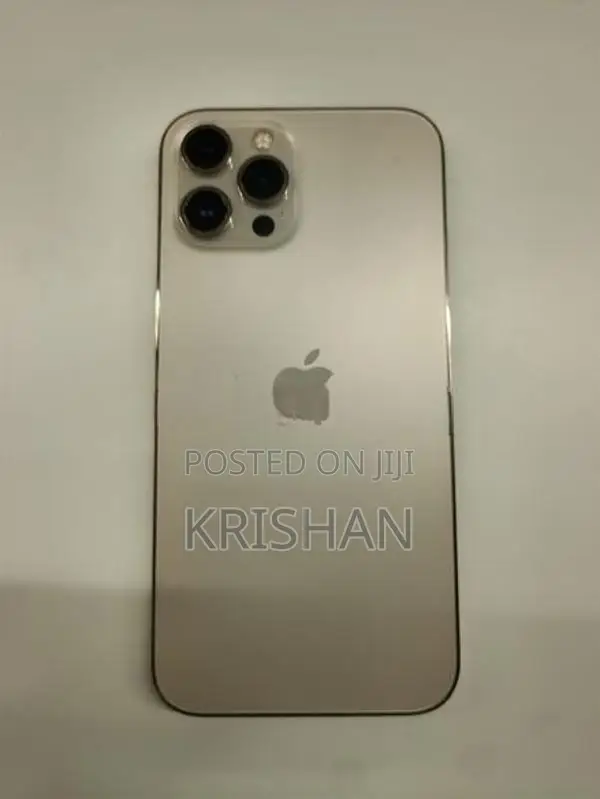 Apple iPhone 12 Pro Max (Used)