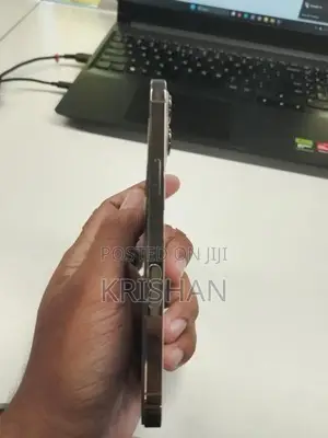 Apple iPhone 12 Pro Max (Used)