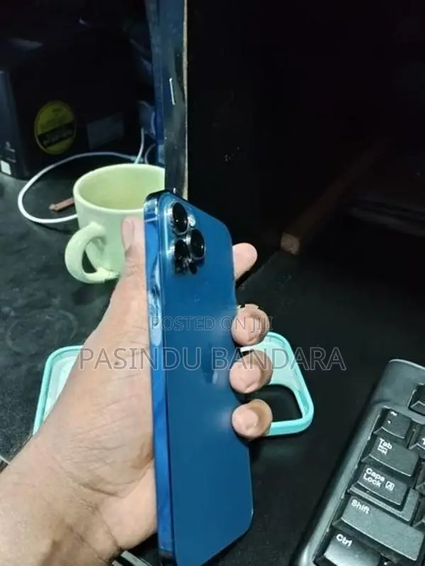 Apple iPhone 12 Pro Max (Used)