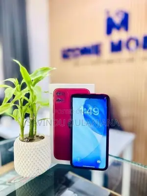 Apple iPhone 11 64GB (Used)