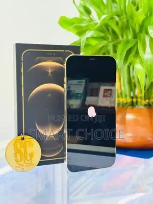 Apple iPhone 12 Pro Max 128GB 5G (Used)
