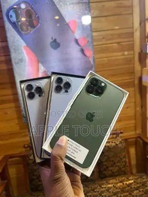 Apple iPhone 13 Pro Max (Used)
