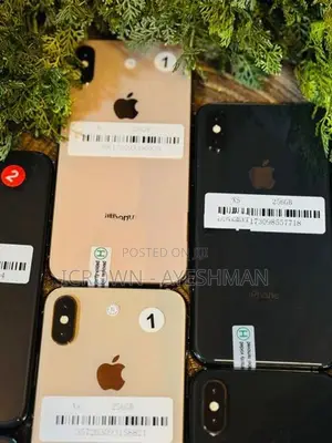 Apple iPhone XS 256GB (Used)