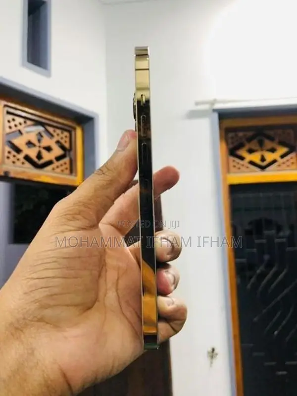 Apple iPhone 13 Pro Max 256GB (Used)