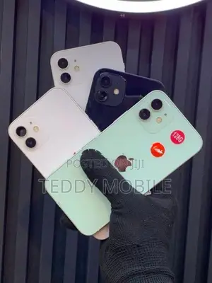 Apple iPhone 12 mini (Used)