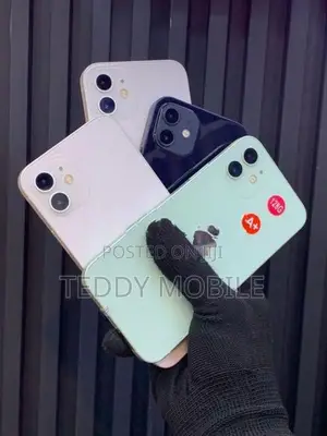 Apple iPhone 12 mini (Used)