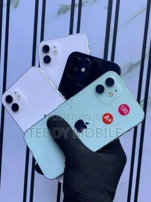 Apple iPhone 12 mini (Used)