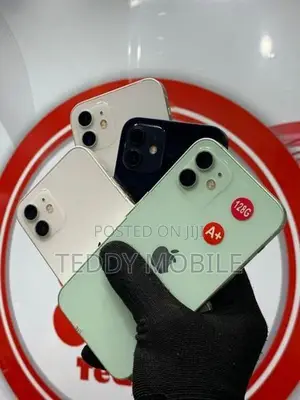 Apple iPhone 12 mini (Used)