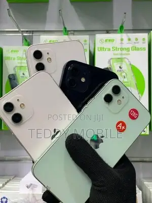 Apple iPhone 12 mini (Used)