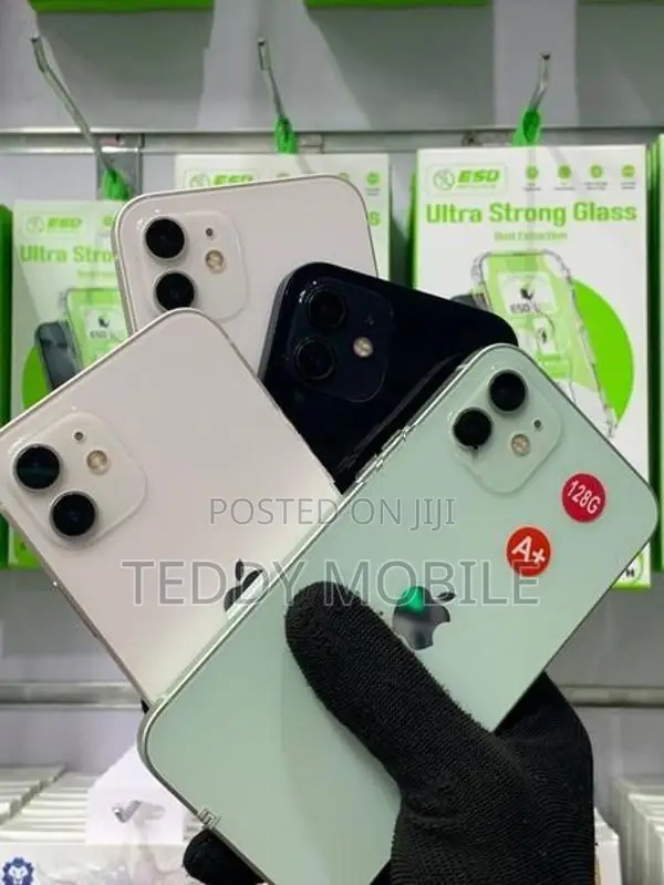 Apple iPhone 12 mini (Used)